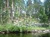 2003_0803_115708AA.jpg